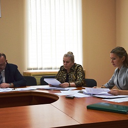 Состоялись заседания профильных депутатских комиссий