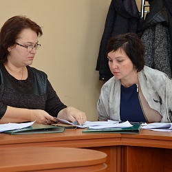 Состоялись заседания профильных депутатских комиссий