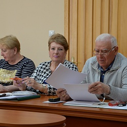 Депутаты обсудили вопрос о территориальном общественном самоуправлении